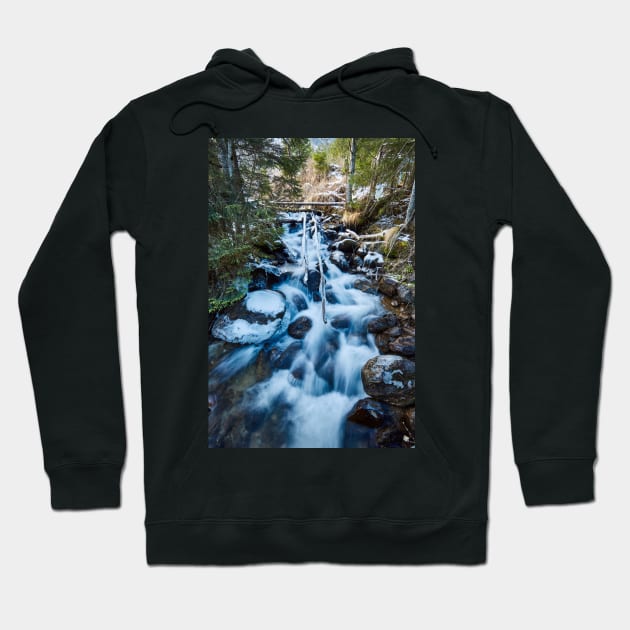 Frozen creek in winter Hoodie by naturalis